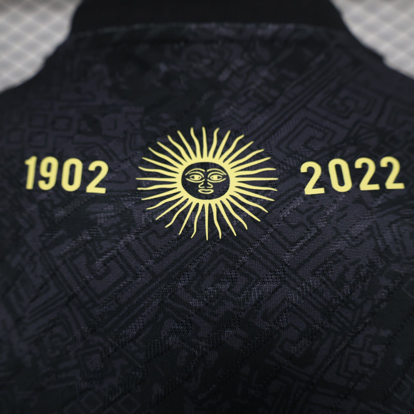 Camiseta Argentina Especeial Edition 2024-25 | Versión jugador