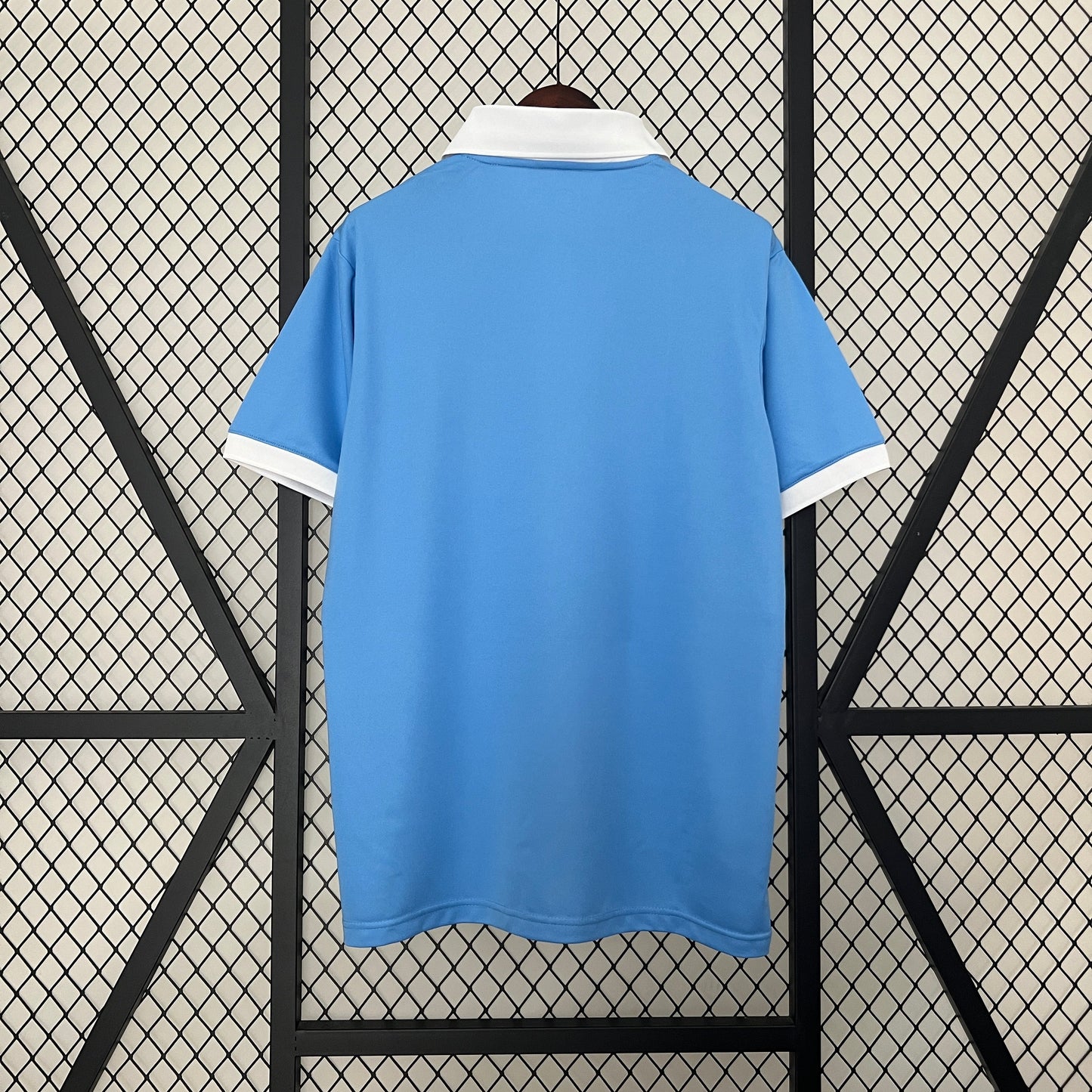 Camiseta Japón Edición especial 2024 | Versión Fan