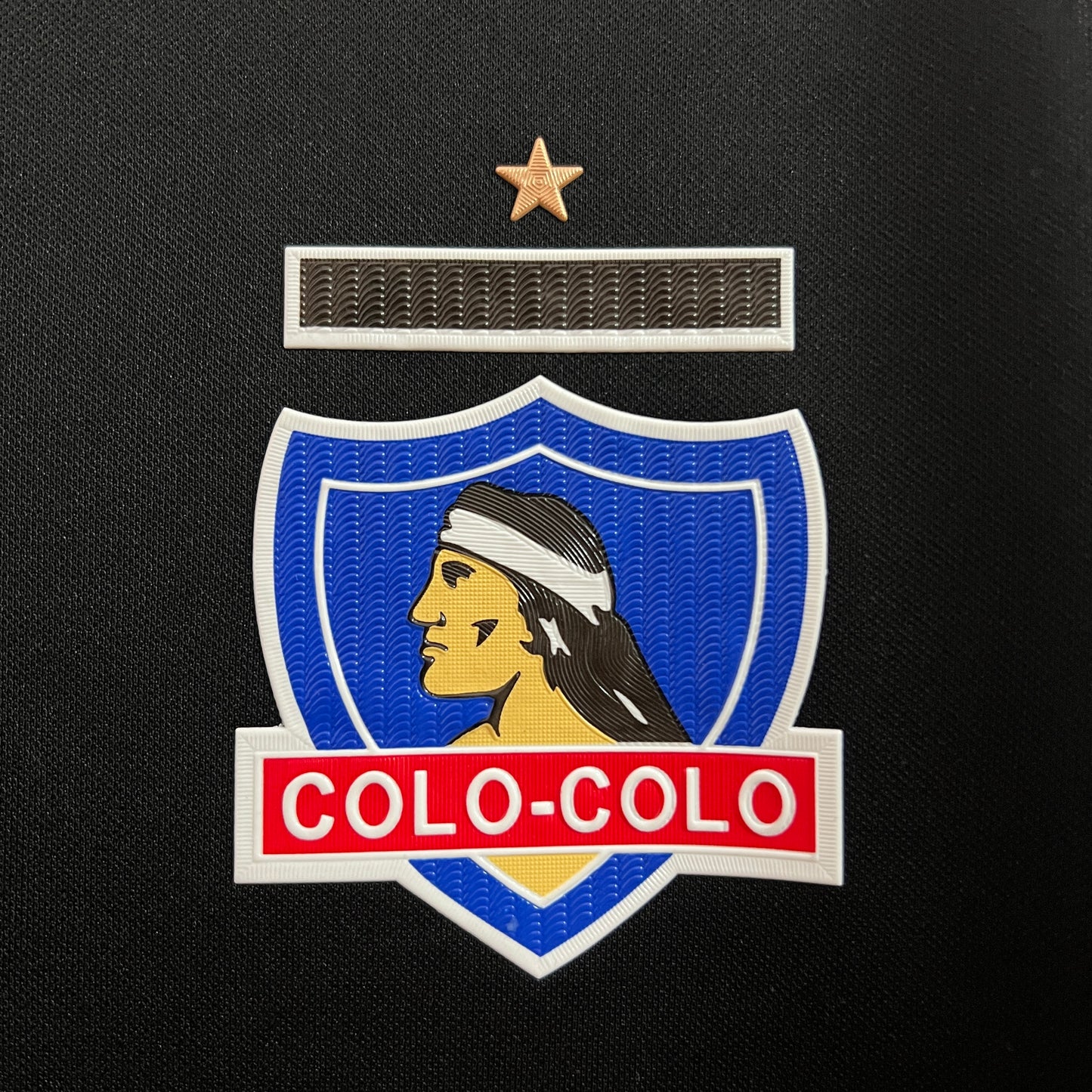 Camiseta Colo Colo Entrenamiento 2024 | Versión fan